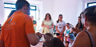 Projeto Lontra quer sensibilizar para proteção dos animais selvagens