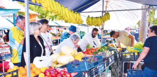 Que futuro para a Praça da Fruta? A voz aos vendedores e utilizadores