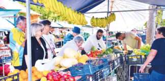 Vereador do Chega propõe medidas para a Praça da Fruta