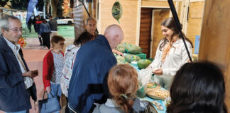 Feira dos Frutos em formato “lowcost” causou reações diversas