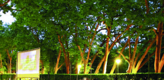 Caldas Film Fest contará com exibição em vários espaços da cidade