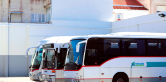 Gratuitidade dos Transportes Públicos