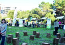 Festa da Água este fim de semana nas Caldas