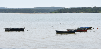 Observatório da Lagoa aguarda agora decisão do Governo