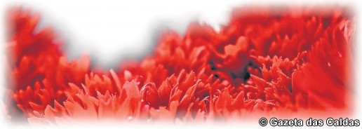 Região comemora 42 anos da revolução dos cravos