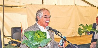 Uma manifestação com enxadas e forquilhas ditou o fim do princípio do nuclear em Portugal Gazeta das Caldas