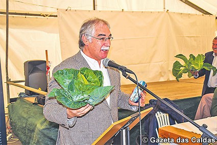 Uma manifestação com enxadas e forquilhas ditou o fim do princípio do nuclear em Portugal Gazeta das Caldas